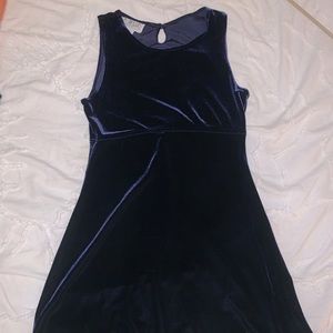 Vintage Velvet skater dress